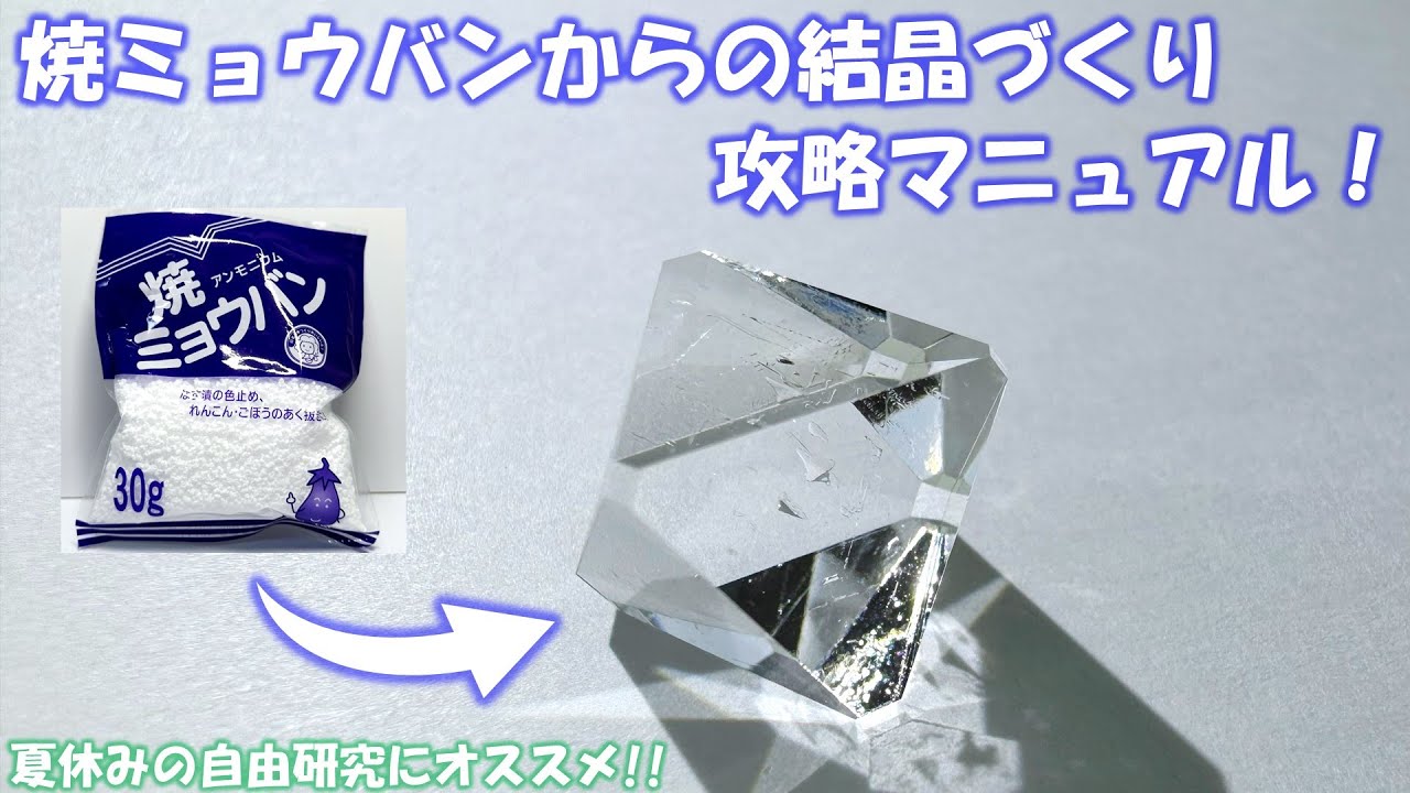 焼ミョウバンからの結晶づくり 攻略マニュアル！【夏休みの自由研究にオススメ！】