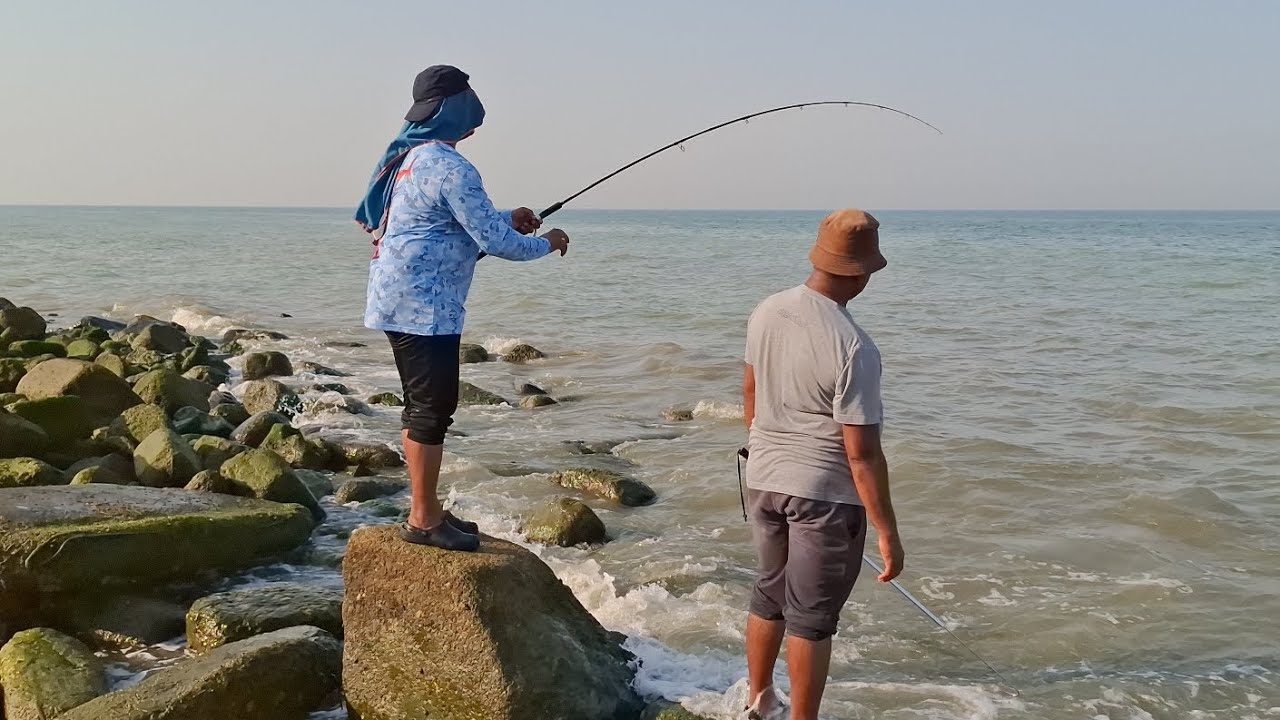 Kuwait fishing!! Shore casting 2025/ Catch and release / Jigging #fishing