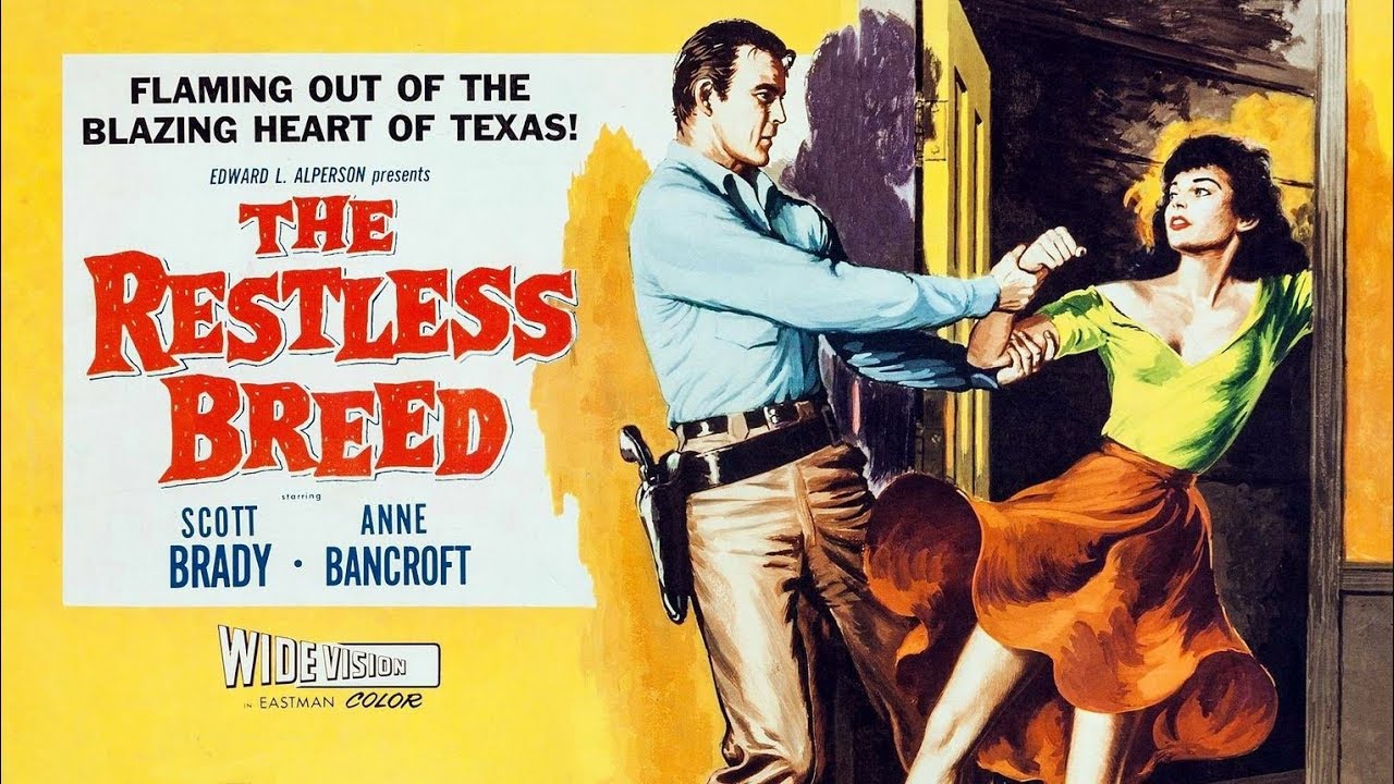 Scott Brady - Top 35 Highest Rated Movies