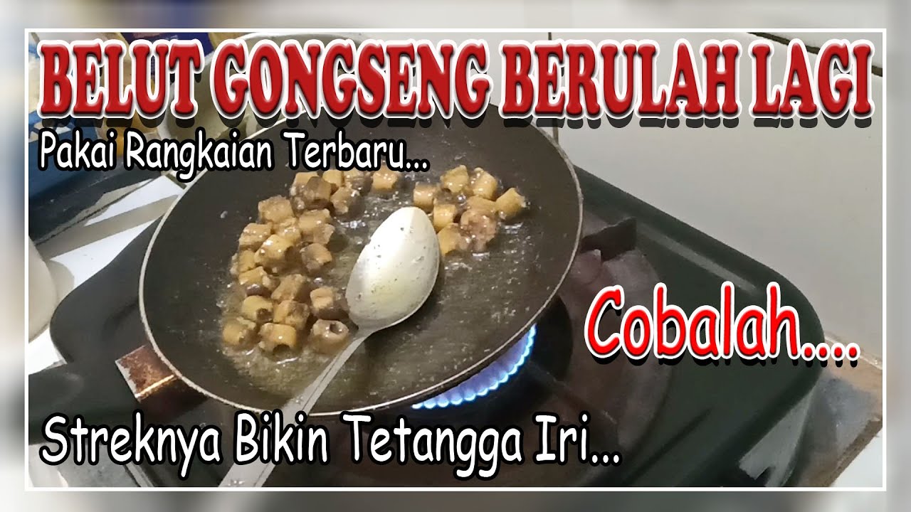 UMPAN BELUT GONSENG & KECOA BIKIN ULAH LAGI | PAKAI RANGKAIAN PANCING TERBARU