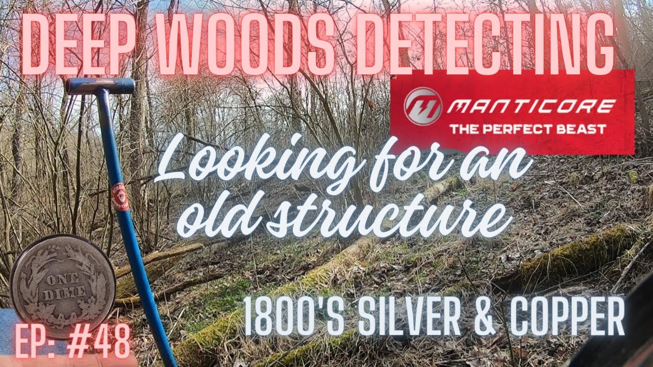 Deep Woods metal detecting