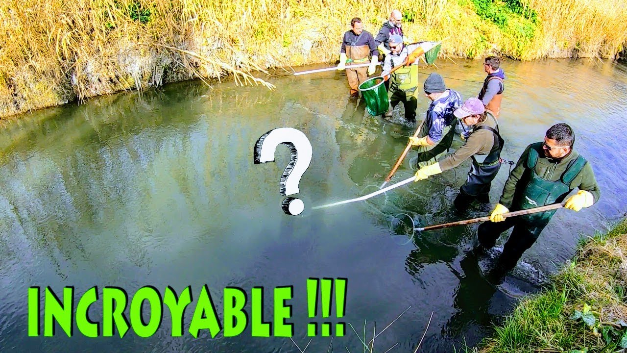 Ils Font Une Pêche Électrique Sur Mes Spots !