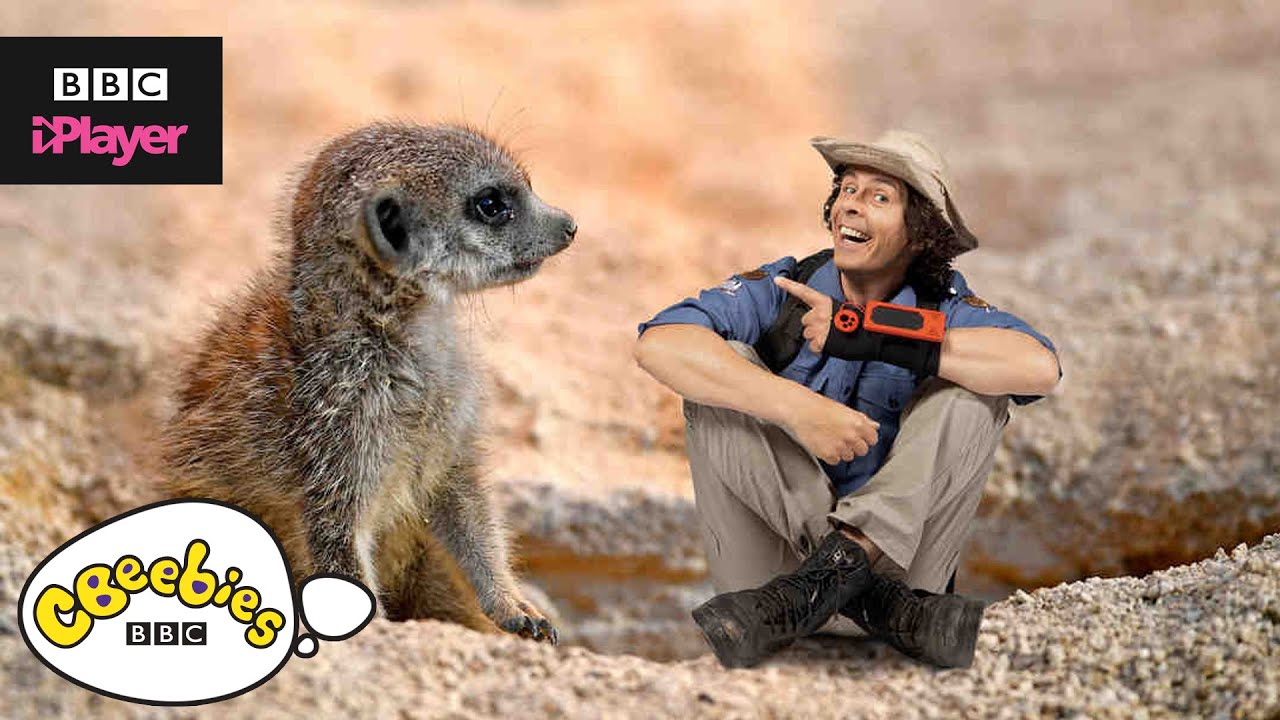 Andy's Top 5 Cutest Animals! | CBeebies