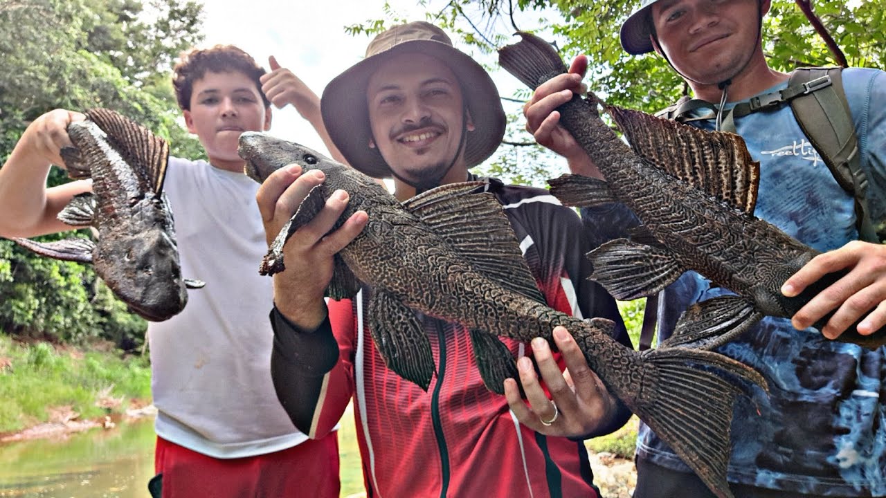 Cazeria de Plecostomus/ COROZAL ME DEJO SIN PALABRAS😶/ Episodio #5