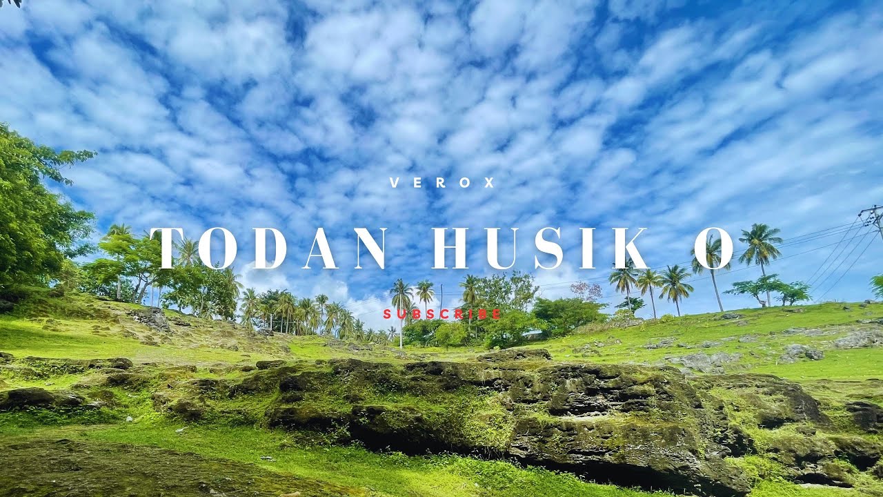 V E R O X | Todan husik O'