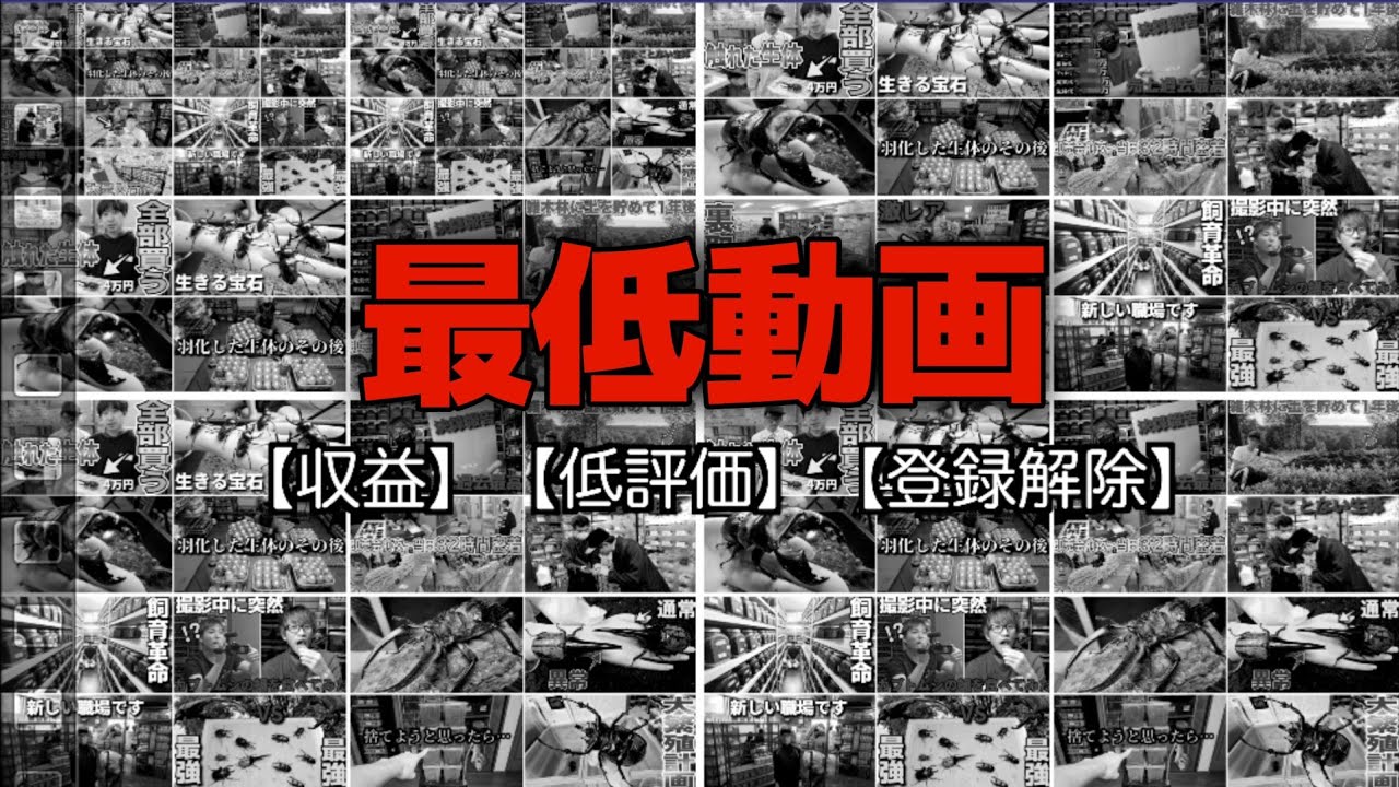 今年最も貢献できなかった動画4選