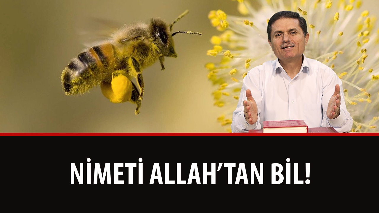 Dr. Ahmet ÇOLAK - Nimeti Allah'tan Bil!