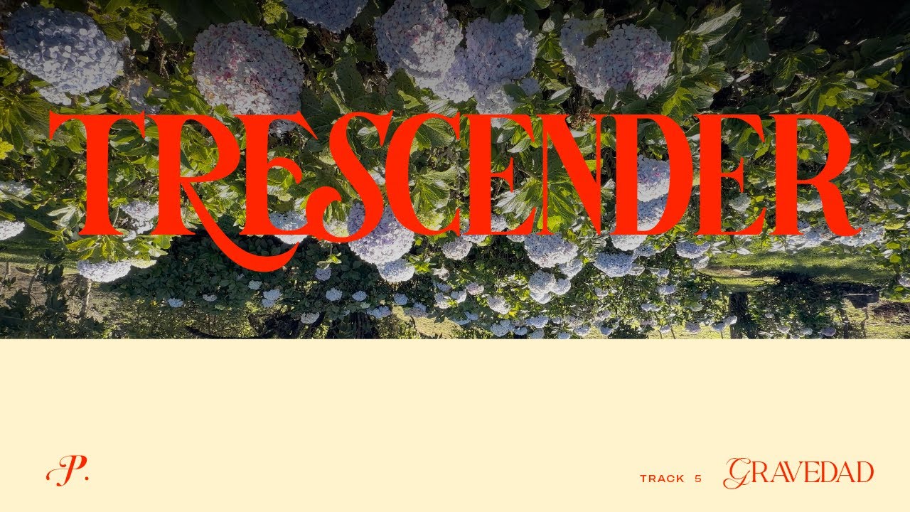 Piso 21 - Gravedad (Visualizer)