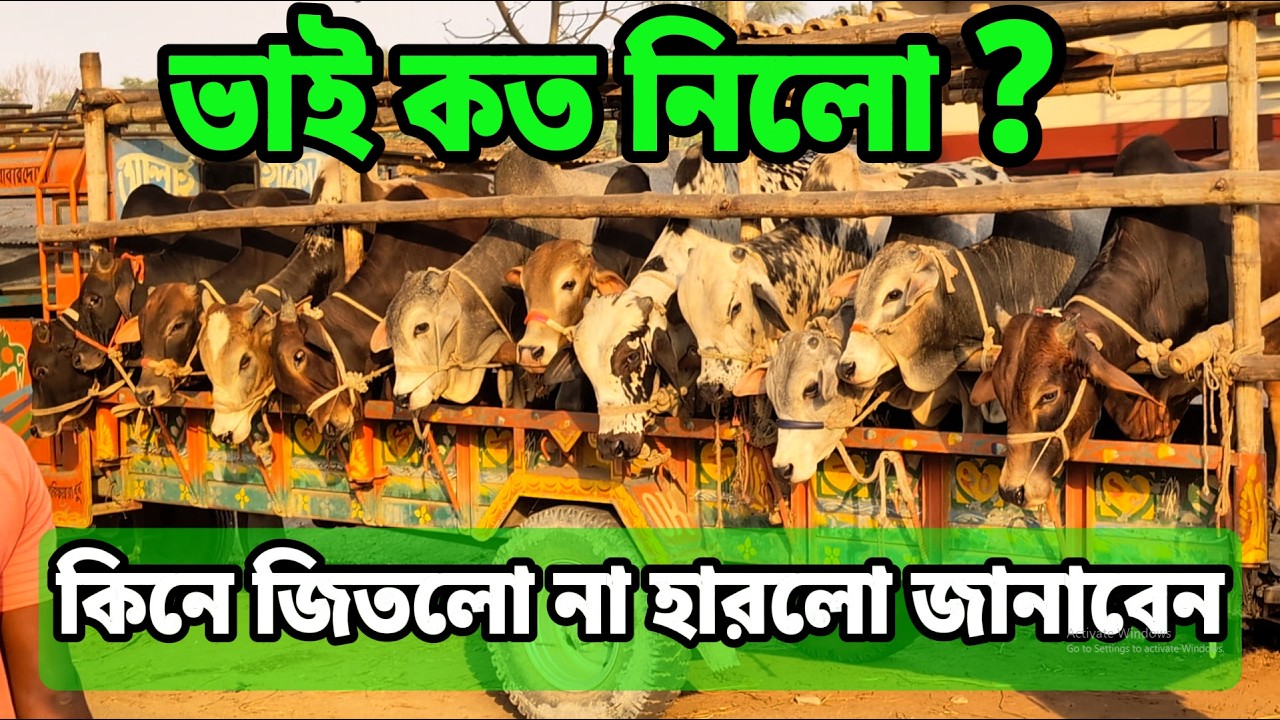 ভাই কত নিলো  কিনে জিতলো না হারলো জানাবেন | Dugdugi Haat Cow selling price Update.
