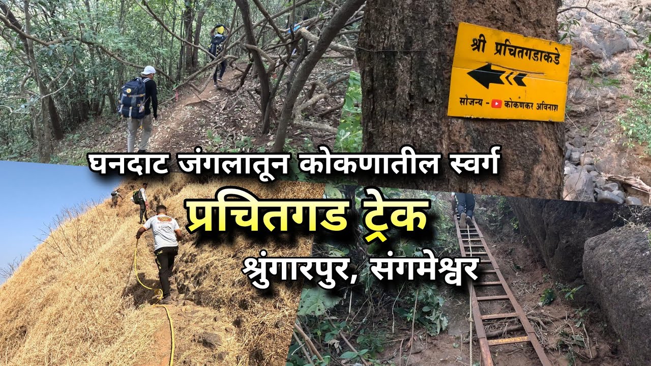 घनदाट जंगलातून थरारक प्रचितगड ट्रेक, कोकणातील स्वर्ग | Prachitgad Trek Maharashtra | Konkan Trekking