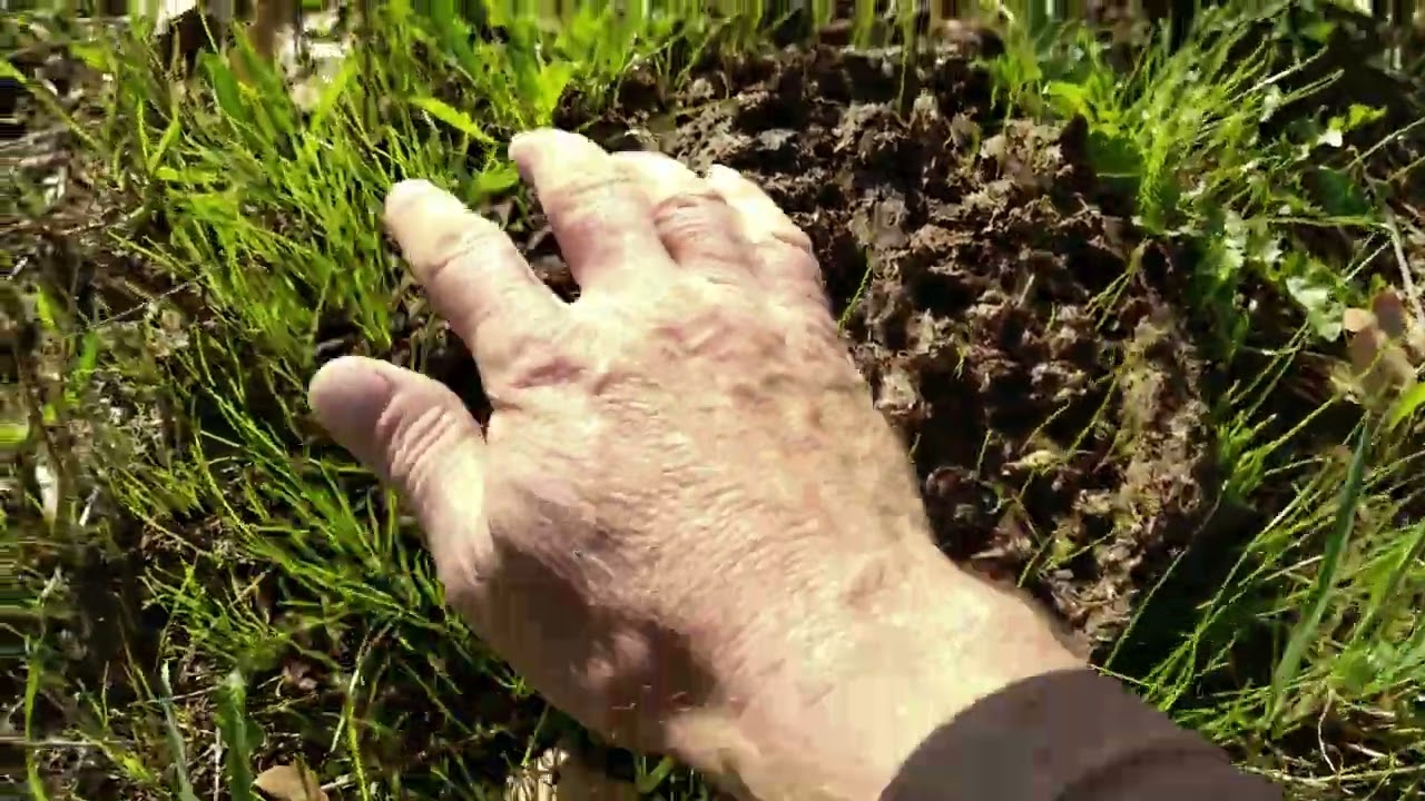 Quand la prairie reverdit : les 3 leviers de repousse d'une prairie.