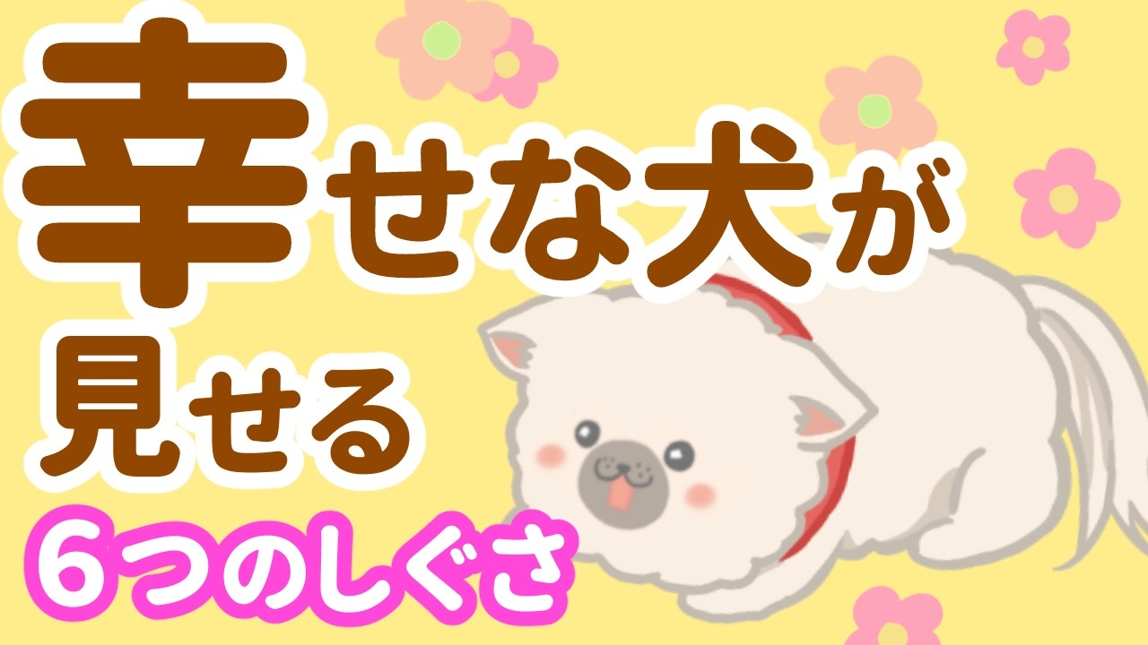 愛犬は幸せだと思ってる？幸せな犬に見られる6つのしぐさ
