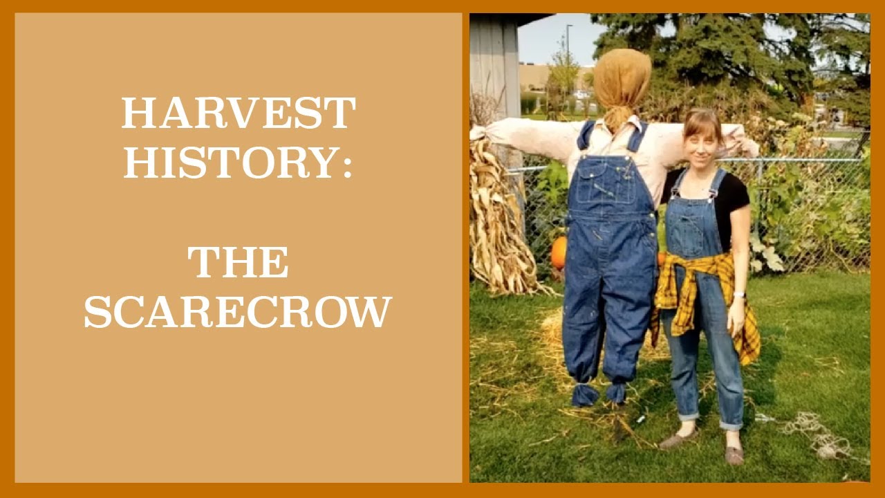 Harvest History: The Scarecrow