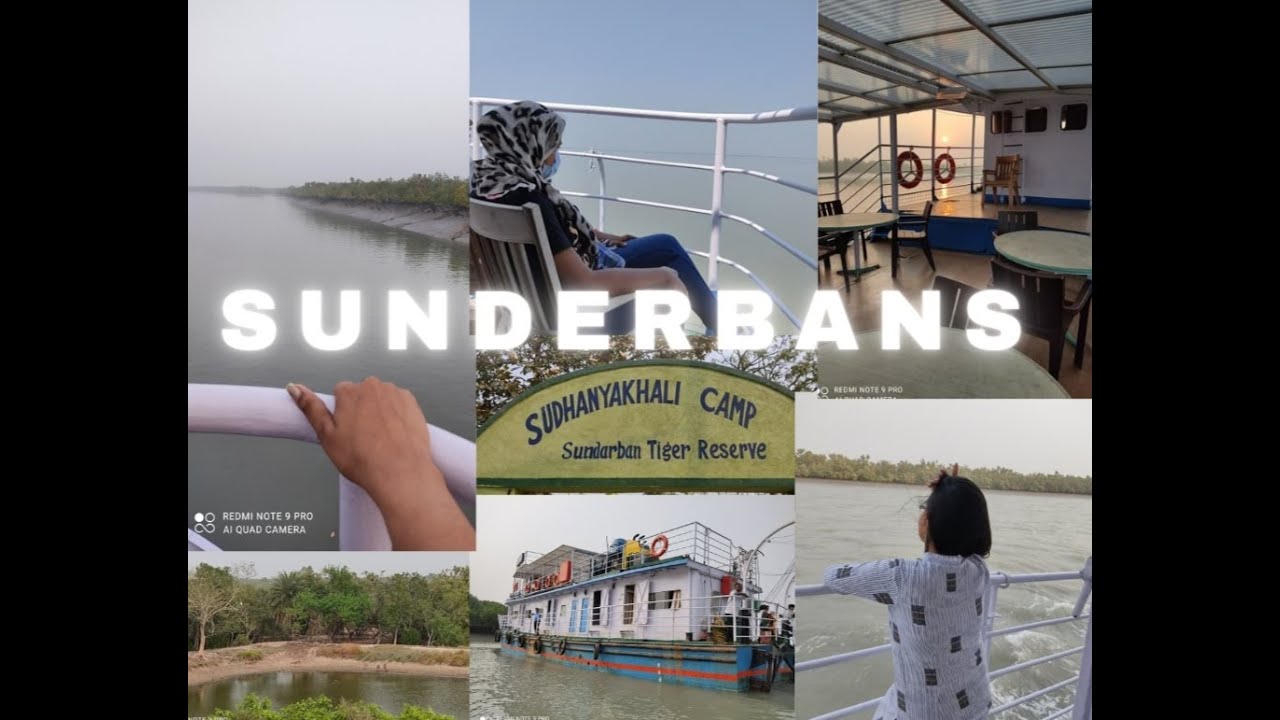 CRUISE TO SUNDERBANS - complete cruise package information, food, stay, must visit places