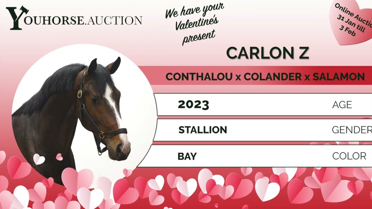 Carlon IN THE ‘VALENTINE EDITION’ YOUHORSE.AUCTION LOOSE JUMPING JANUARY 31 - FEBRUARY 3 2026