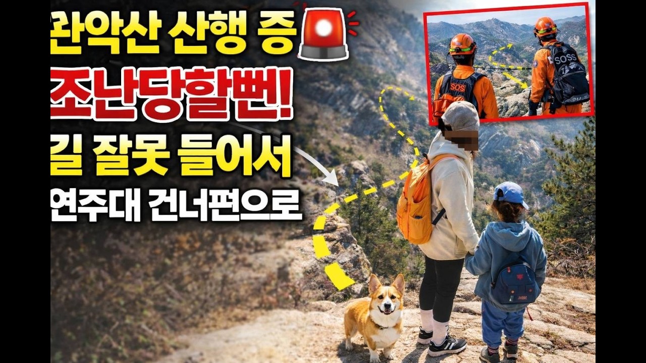 관악산 기운이 좋다고 해서 온 가족 출동했다가… 조난당할 뻔했습니다