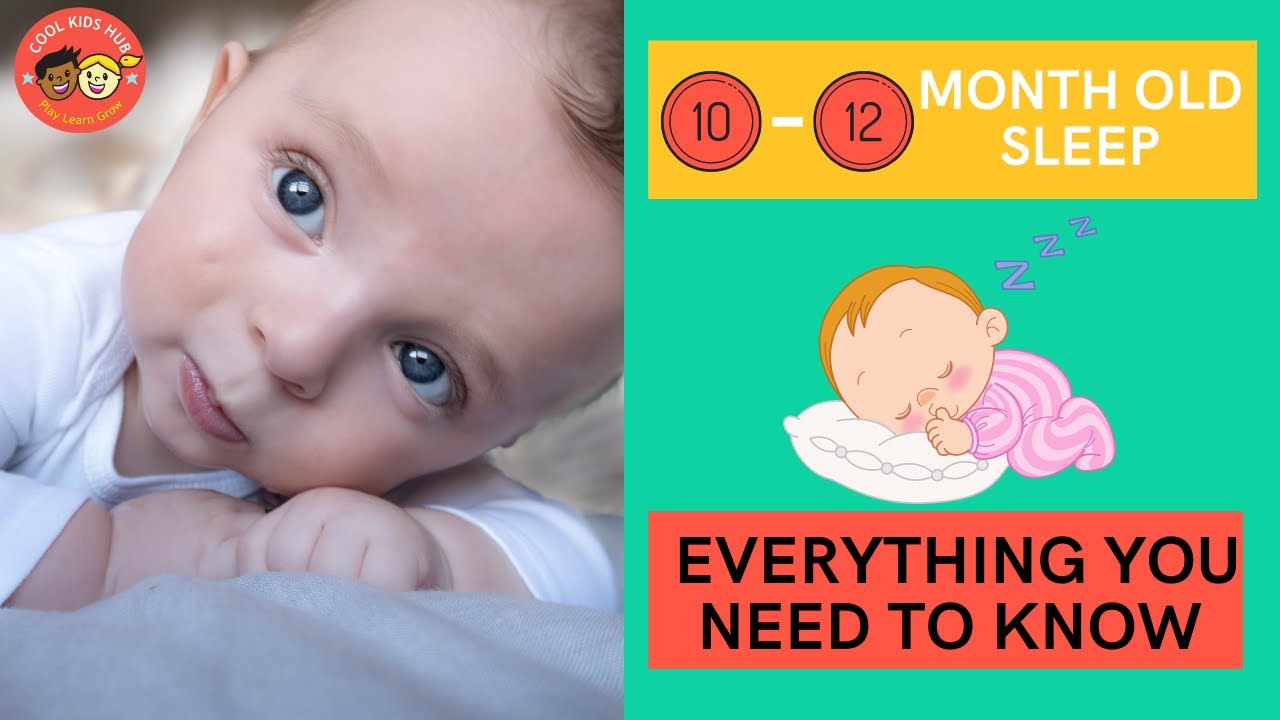 Sleep Schedule for a 10-12-month-old | Everything you Need to Know about 10-12-month-old Sleep
