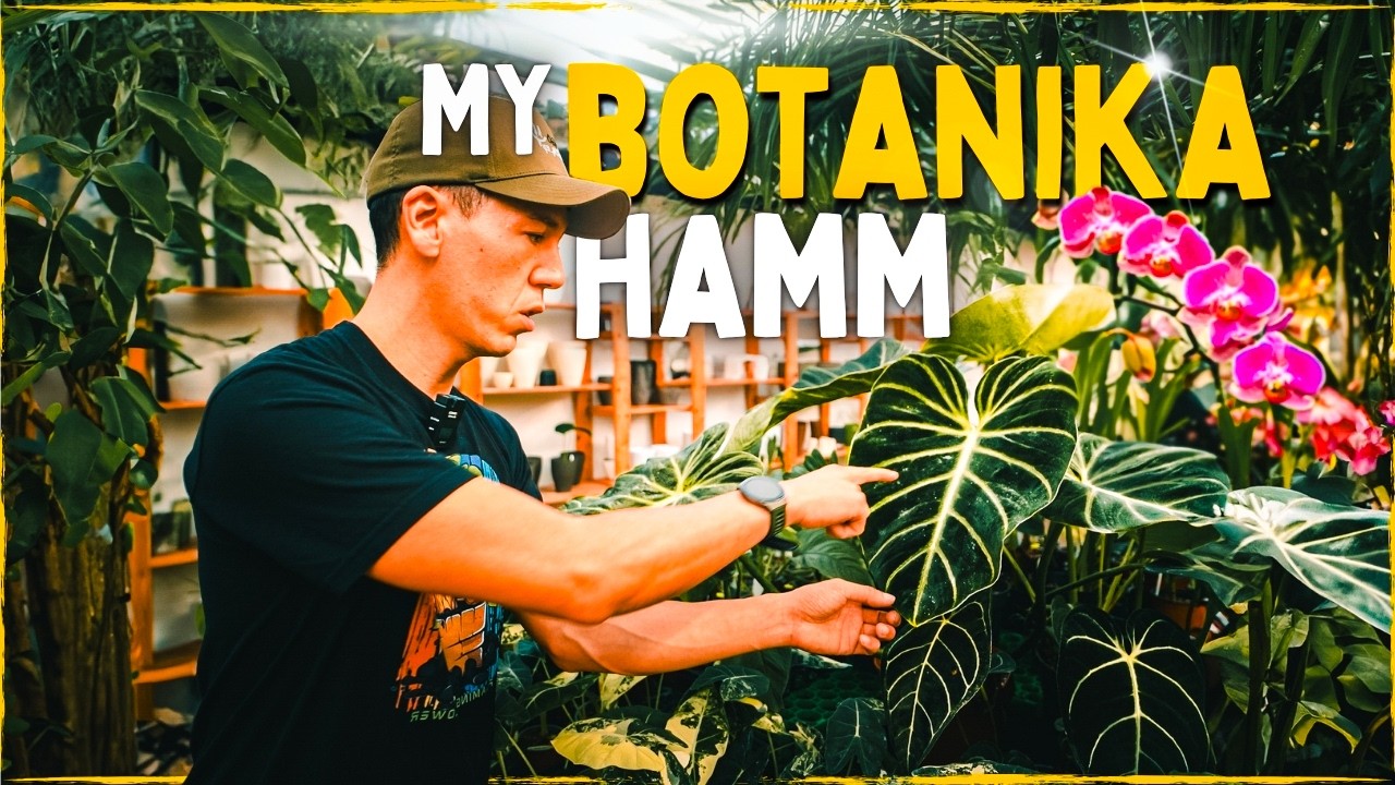 Verrückt nach Pflanzen 😲 My Botanika Hamm 2024 - Pott Planter