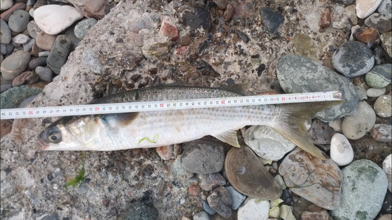 Kefalin içinden geçtik
