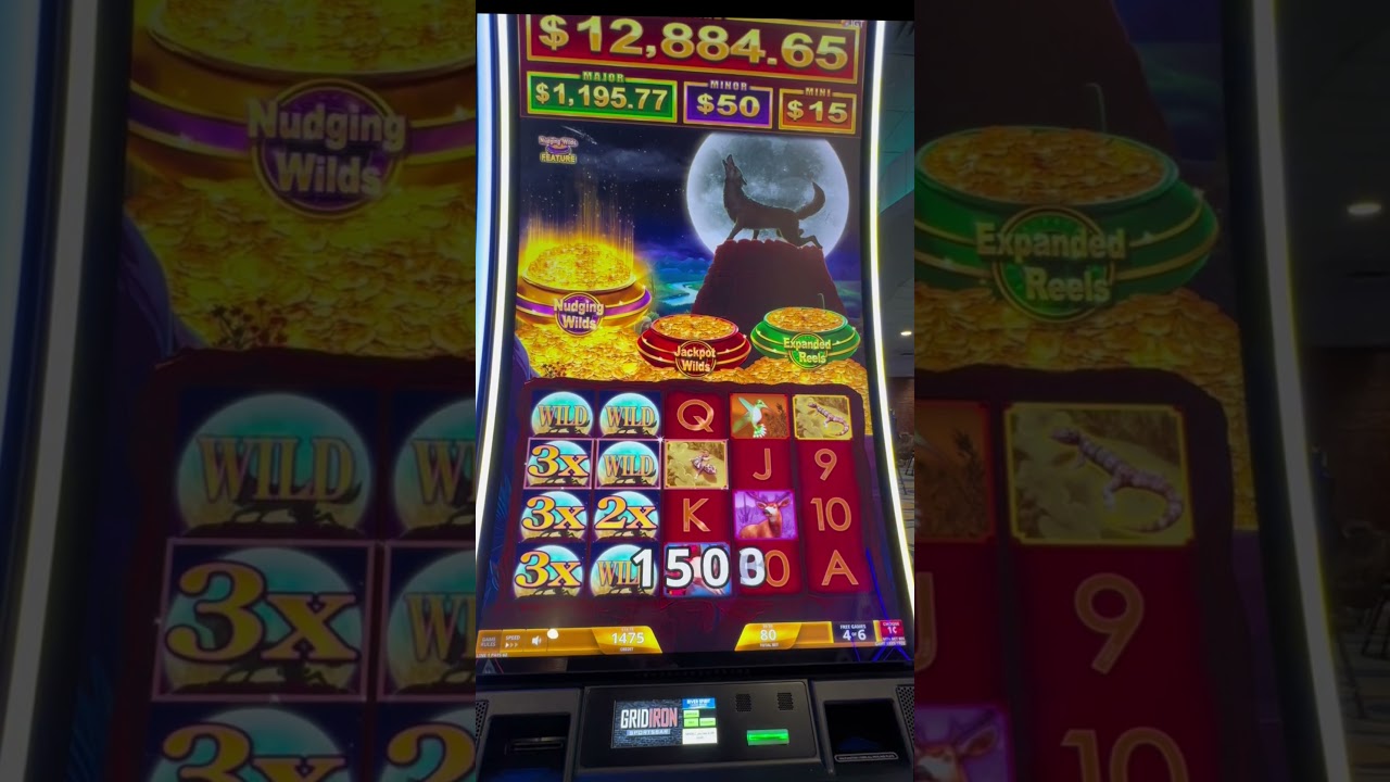 Coyote Moon Desert Nights Nudging Wilds Feature 🎰 