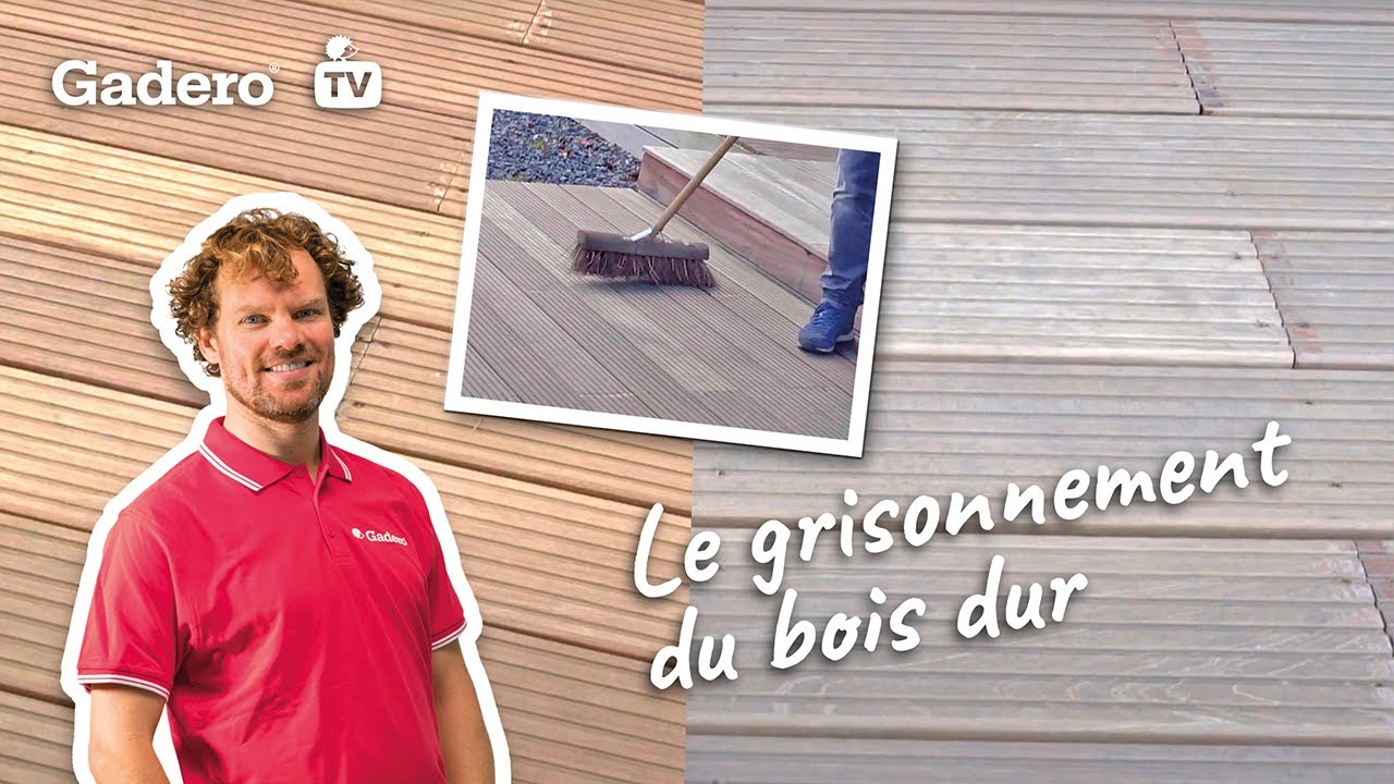 Quelle essence de bois vieillit le mieux ? Gadero France