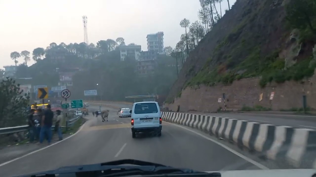 Dilchahe Raste #yt #travel #genz #shimla #viral #nature 