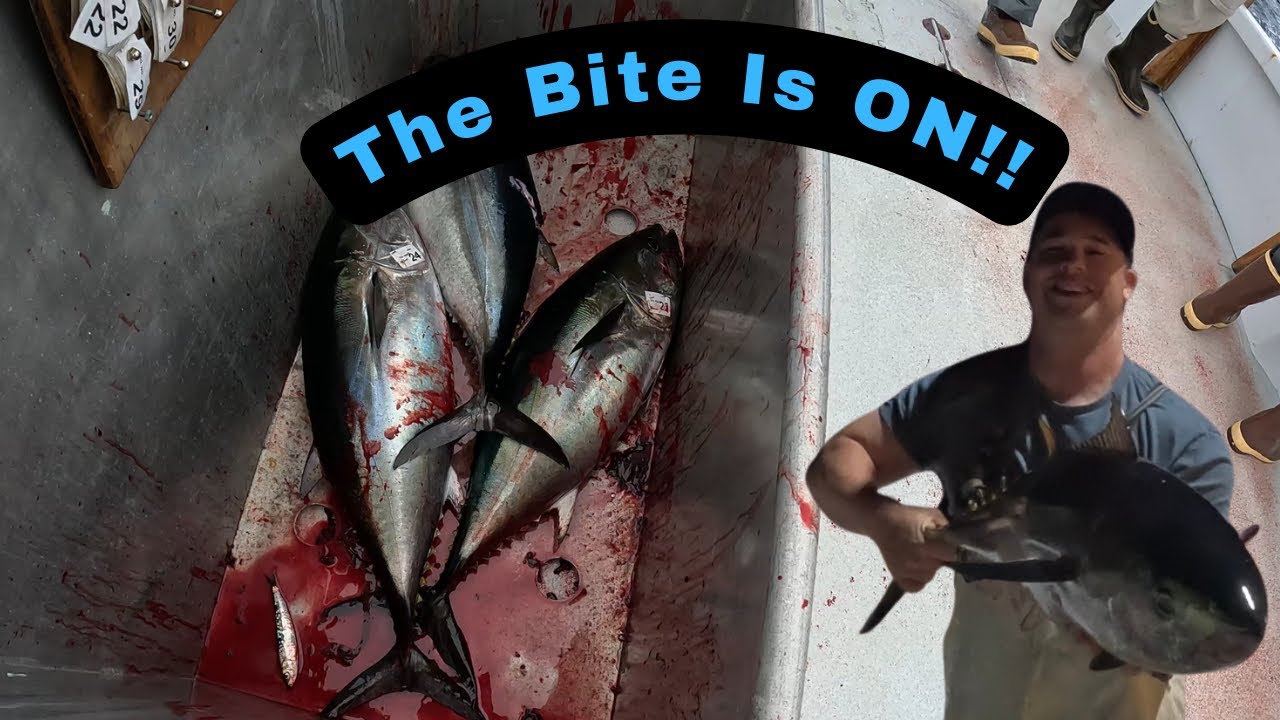 Bluefin Tuna Jig Bite Is GOING OFF! Ocean Odyssey Out Of San Diego
