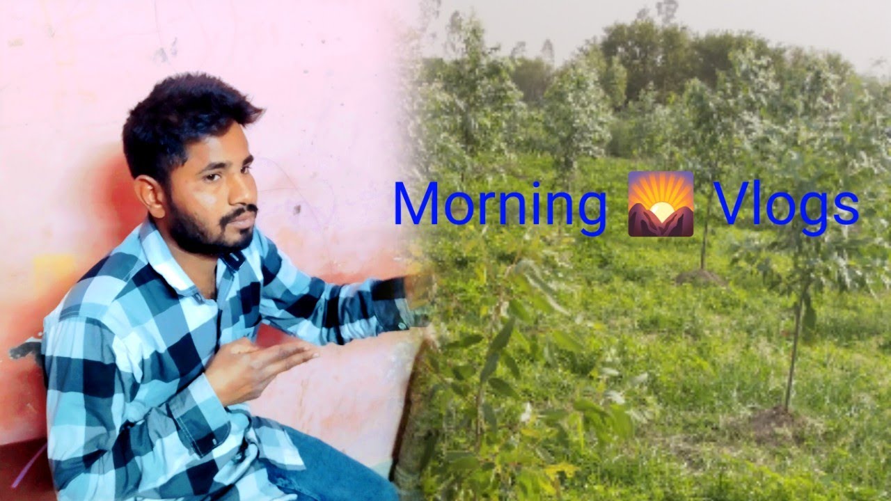 Morning 🌄 vlogs on YouTube ll youtube vlogs video ll Khet vlogs ll punjab vlogs