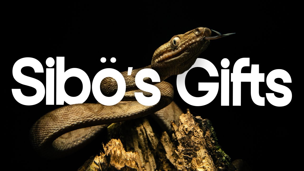 Sibö's Gifts | A Kéköldi Documentary