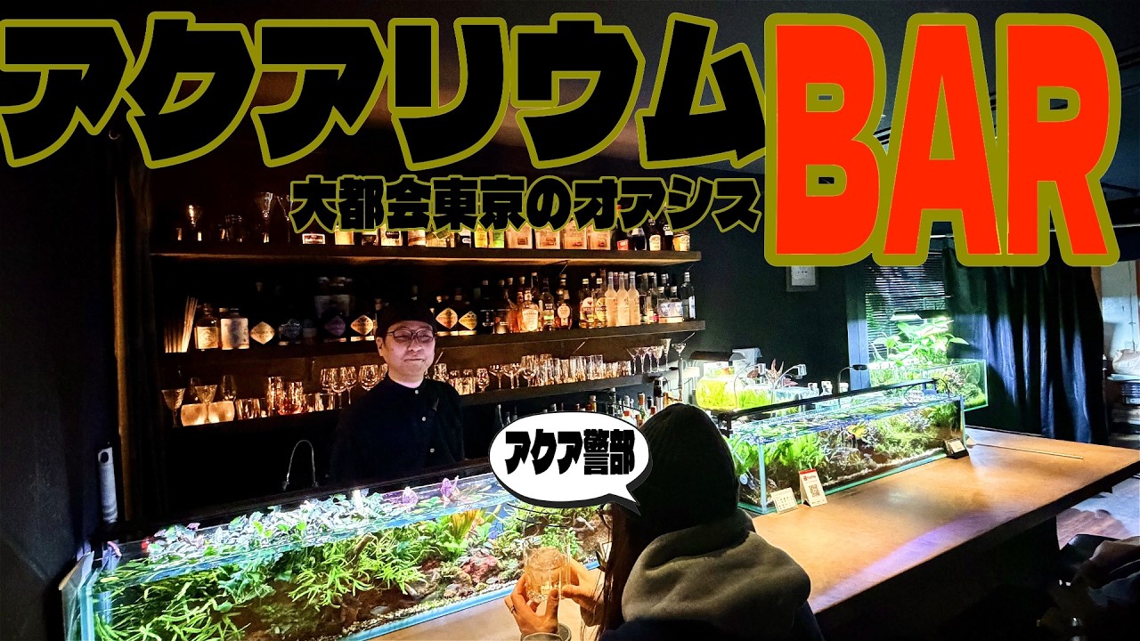 お洒落なアクアリウムBARが東京のど真ん中にあった（レイアウトコンテスト上位常連の店主が面白すぎる！BAR AQUA CAVEはこんなお店です）
