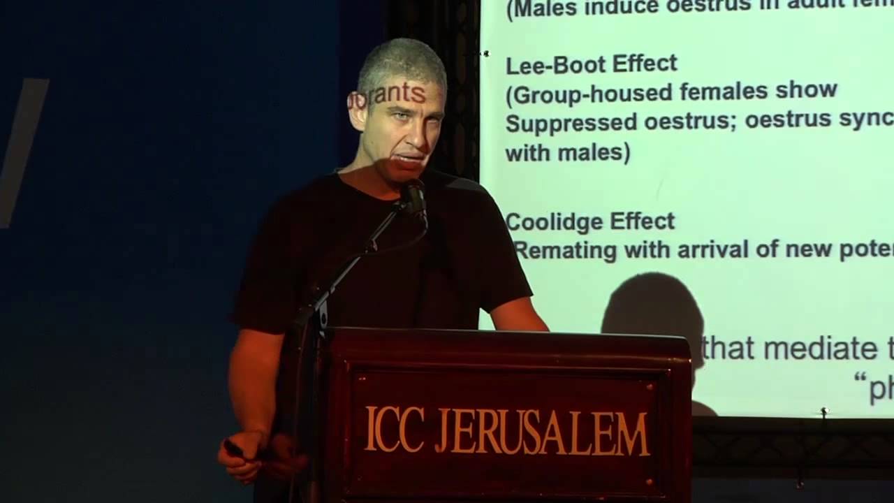 It's all In Your Head: How Do We Really Form Opinions? - Professor Noam Sobel