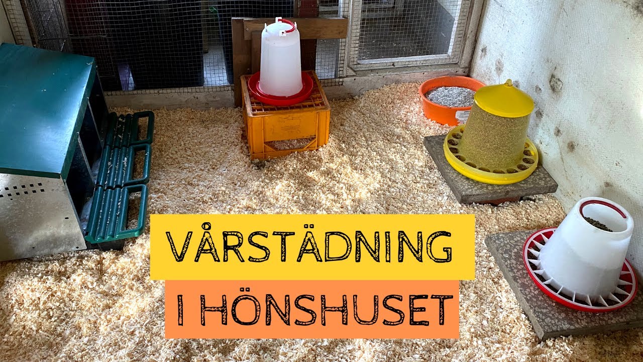 Vårstädning i HÖNSHUSET - Jag gräver ur vinterns djupbädd
