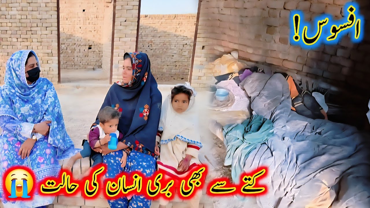 Afsoos kuttay say bhi bori halat insan ki | 26-Feb-2026 | Aao Madad karen 
