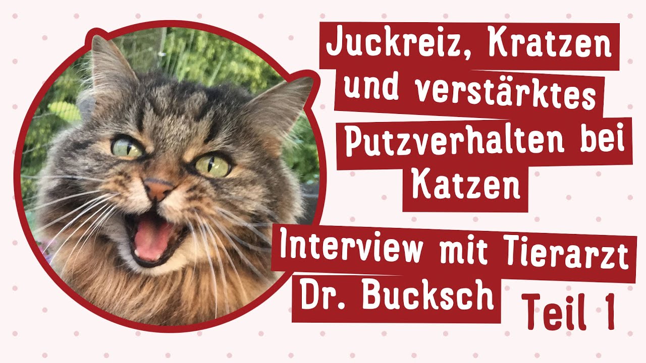 #074 Juckreiz, Kratzen & verstärktes Putzverhalten bei Katzen 1/2