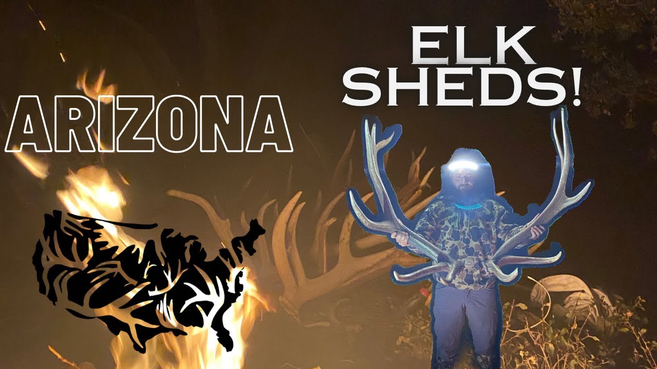 EP 5 BACKCOUNTRY ELK SHEDS