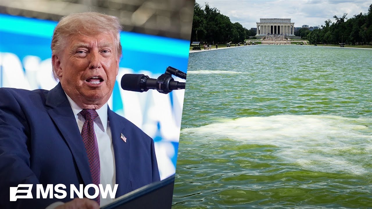 Trump &lsquo;set the stage for his own failure': GOP strategist blasts reflecting pool disaster