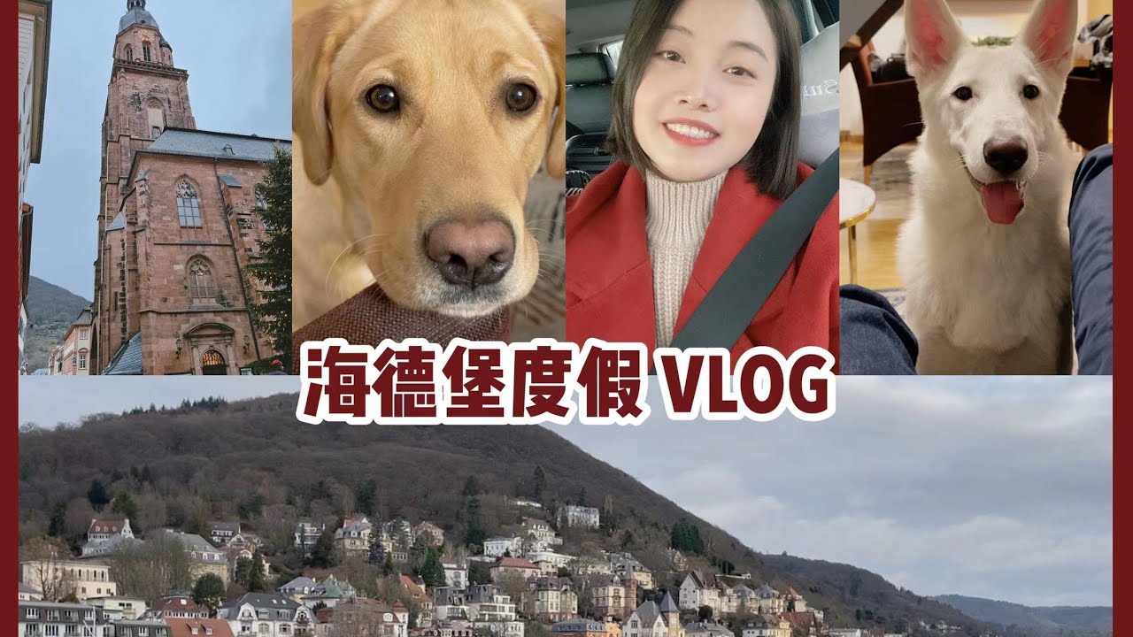 一个很不像VLOG的旅行VLOG 带着两只狗狗去海德堡度假啦 (上)