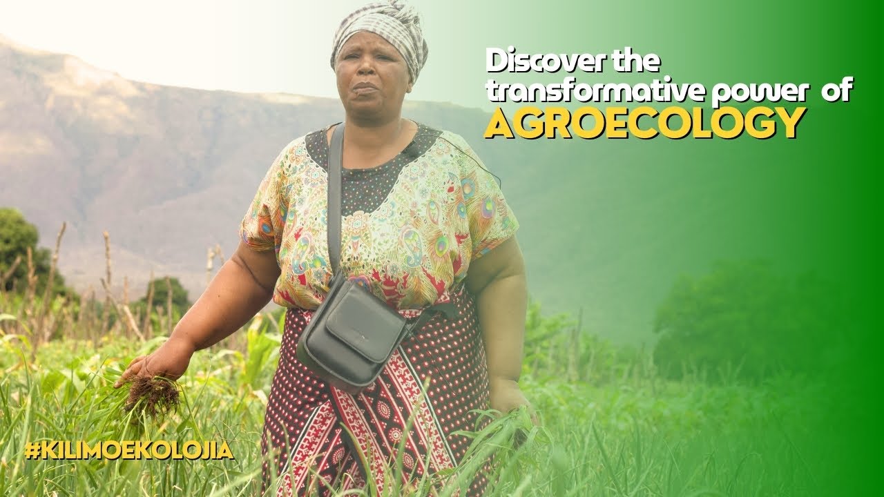 Faida za Kilimo Ikolojia/Agroecology benefits
