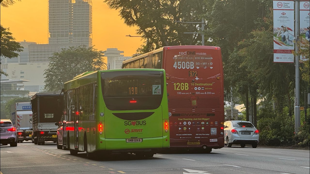 Bus spotting at sunrise!