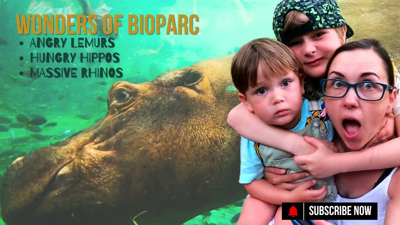Bioparc Valencia With Kids - Guide to make the most of the day!