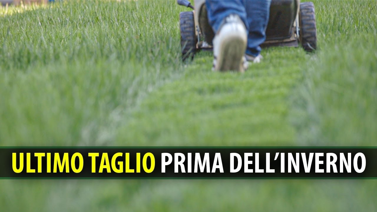 L'ULTIMO TAGLIO DEL PRATO PRIMA DELL'INVERNO