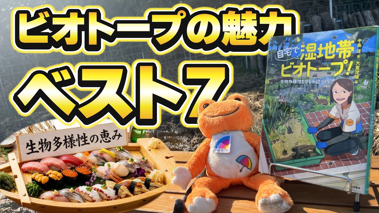 ビオトープ、やっててよかった｜2年目の冬に感じたベスト7