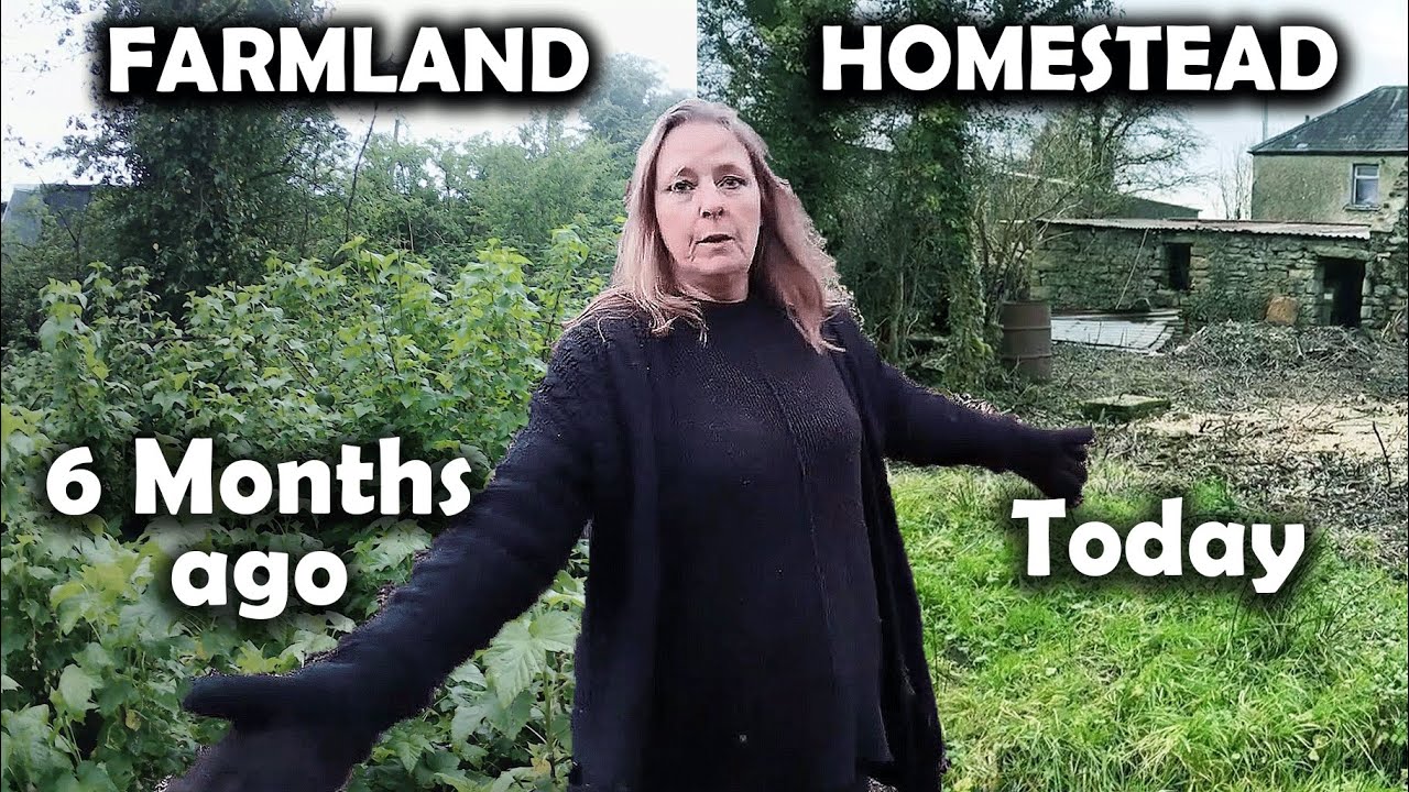 Жизнь на ферме: реальность расчистки земли в Ирландии