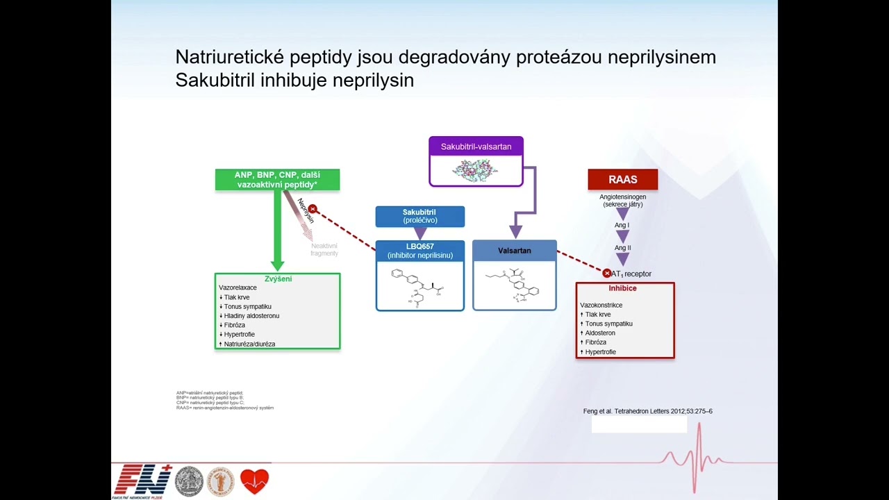 L&eacute;čba srdečn&iacute;ho selh&aacute;n&iacute; - tipy a triky