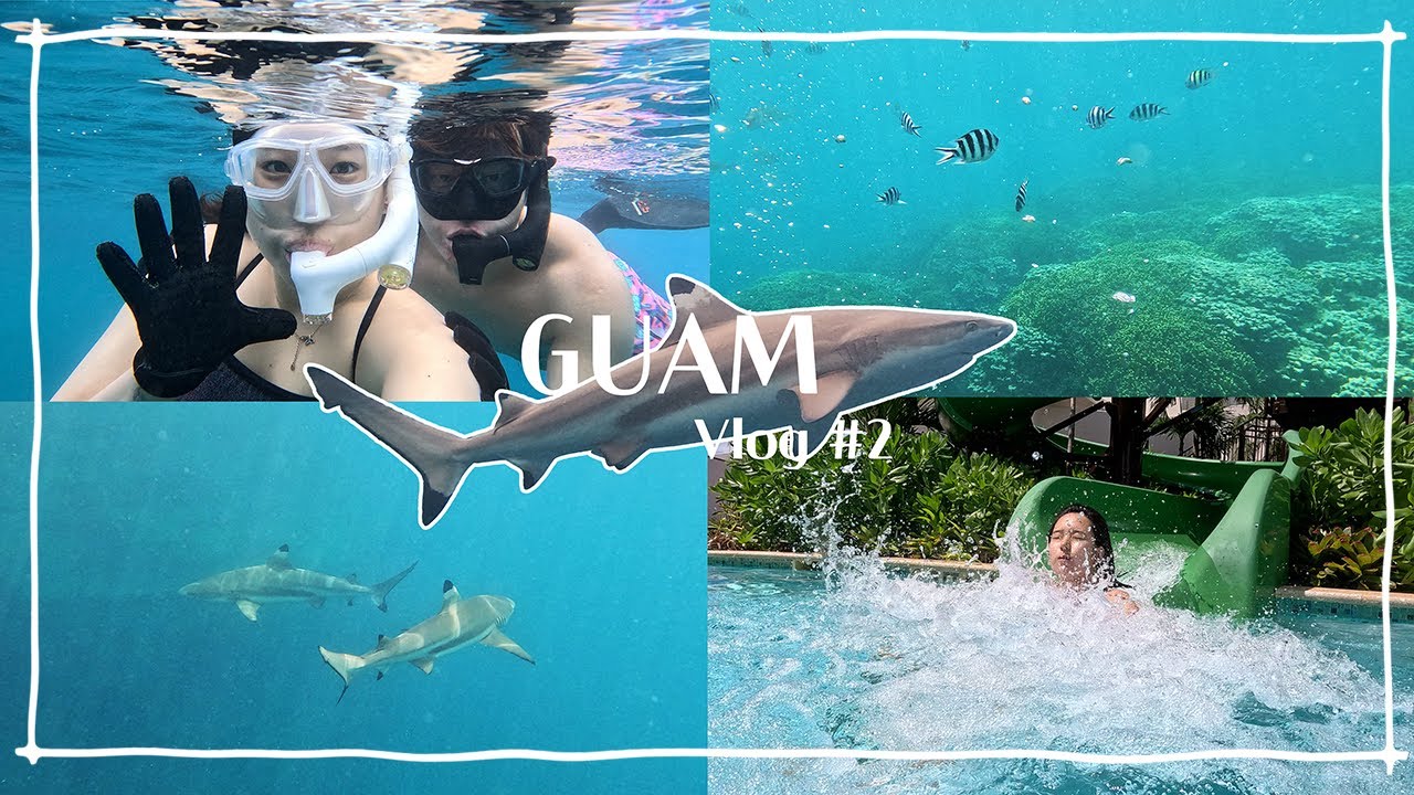 [괌여행 #2] 프리다이빙하다가 상어 만나봤니 l GUAM · 피시아이 · 블랙팁샤크 · 브이로그