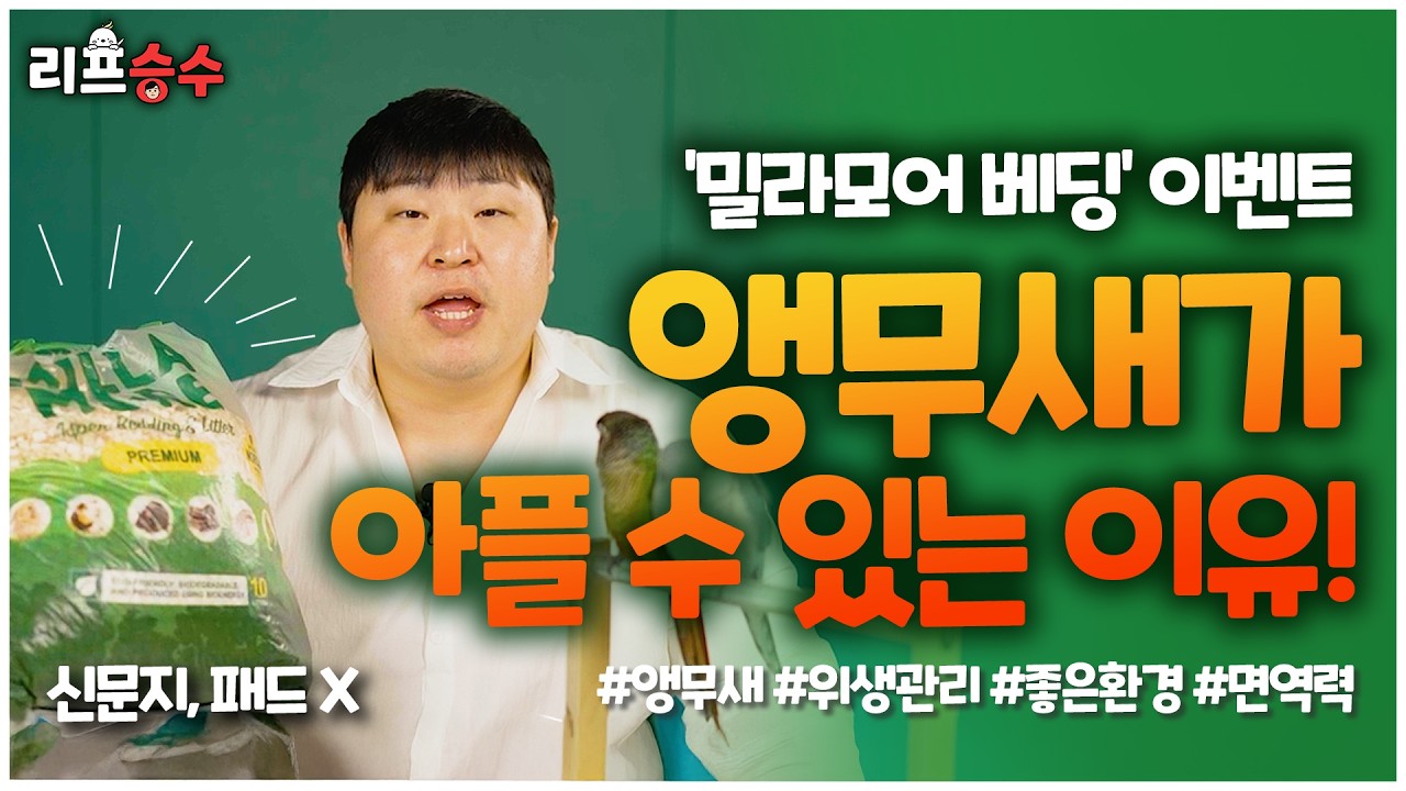 앵무새가 아플 수 있는 이유(밀라모어 베딩 선착순 이벤트)