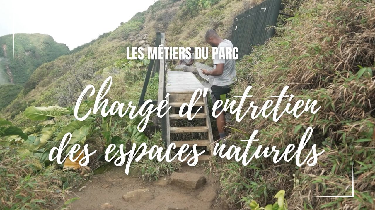Les métiers du Parc national de la Guadeloupe : chargé d'entretien des espaces naturels