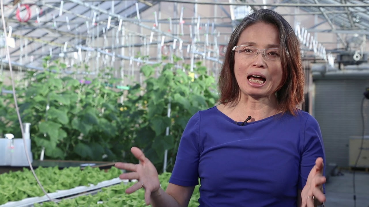 Chieri Kubota: Controlled Environment Plant Systems