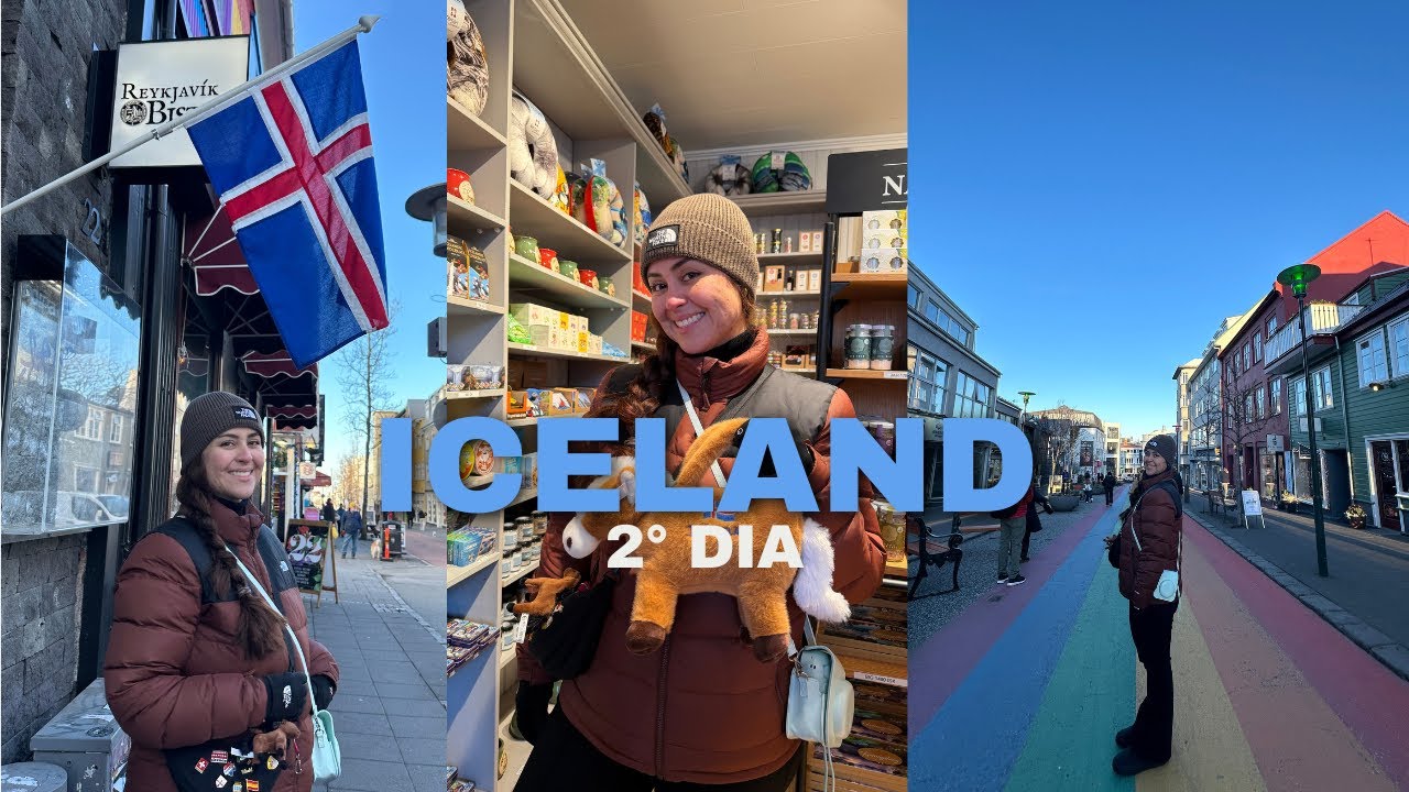 ISLÂNDIA 🇮🇸| 2° dia, melhor cachorro quente do mundo e tour da aurora boreal - VLOG