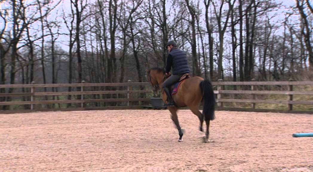 MALIN & PEDER'S BEST EXERCISES - FOURTH LESSON